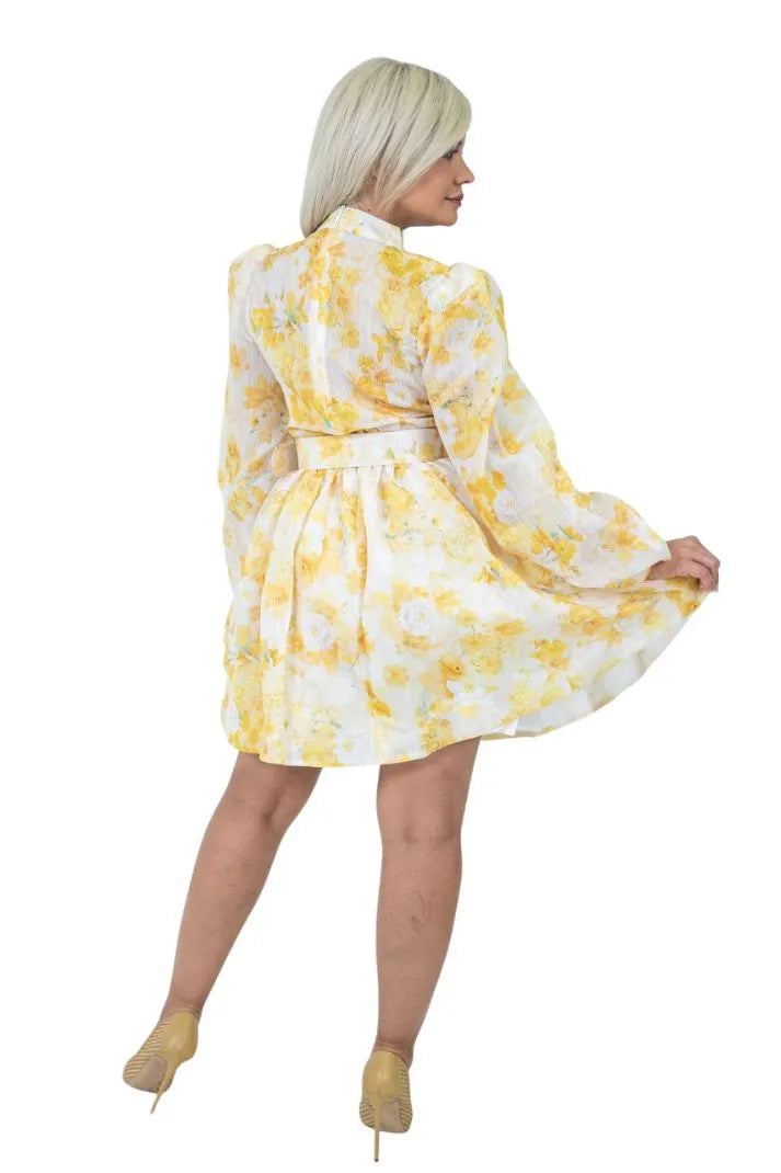 ANASTASIA ELEGANT MINI DRESS